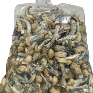 Melmak Dried Magic Mushroom