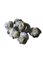 Smurf Berry Tat Penis Envy Dried Mushrooms