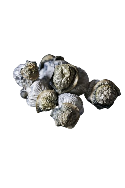 Smurf Berry Tat Penis Envy Dried Mushrooms