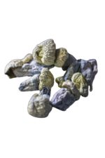 E.P. Smurf Tat Mushrooms